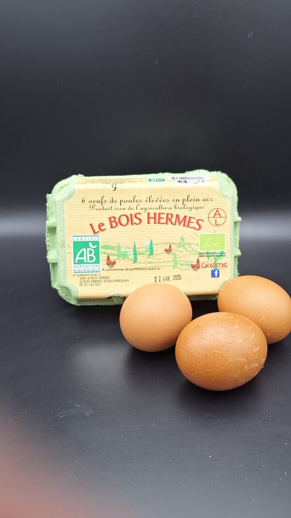 Boite D'oeuf "Le bois Hermes"