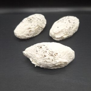 Lorenthym