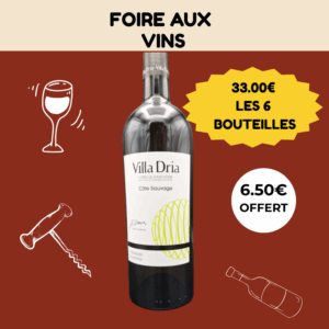 Promo 6 Côte Sauvage – Domaine Villa Dria – IGP Côtes de Gascogne