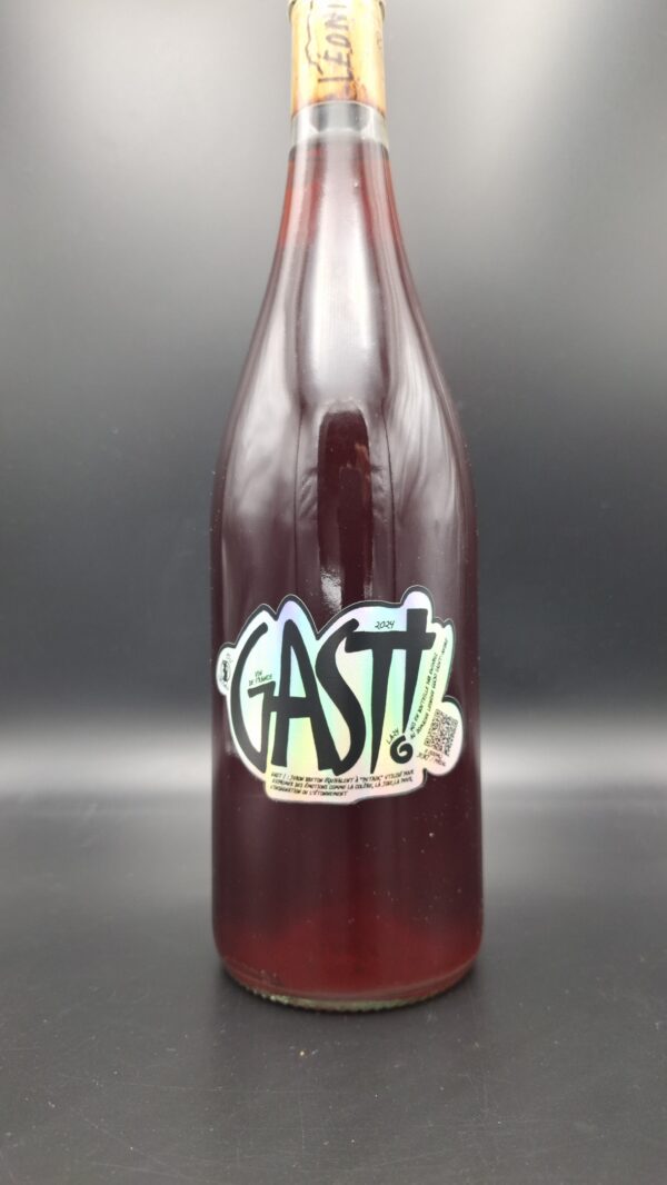 Domaine Léonine – Gast ! Rouge 2024 (VDF, Roussillon) – 75 cl