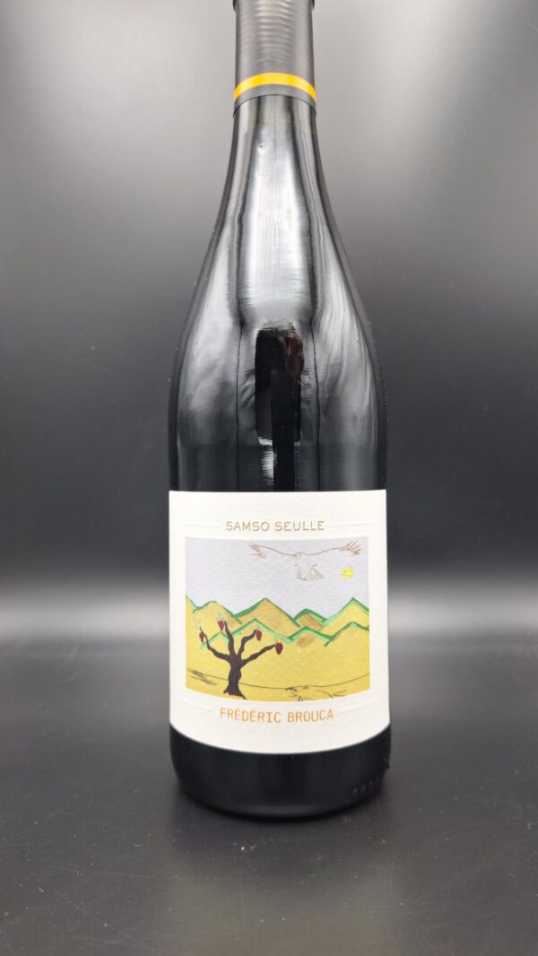 Domaine Frédéric Brouca – Samsó Seulle Rouge 75 cl (VDF)