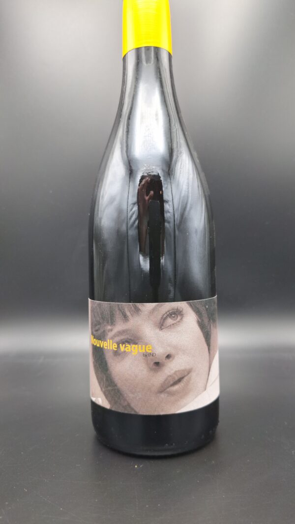 Domaine La Nouvelle Don(n)e – Nouvelle Vague Blanc 2023 – VDF 75 cl