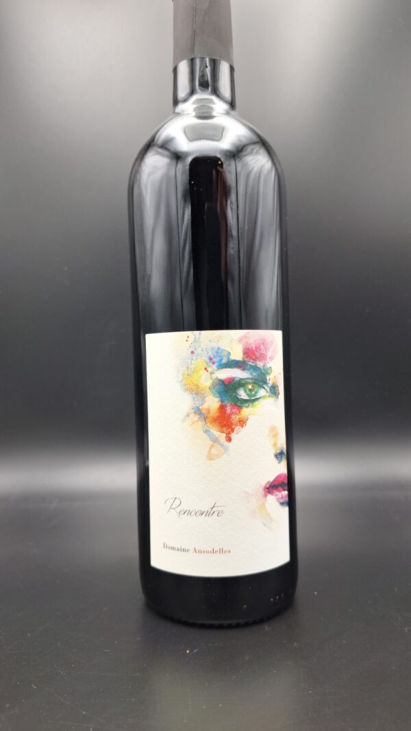 Domaine Ansodelles – Rencontre Bourgueil Rouge 75 cl