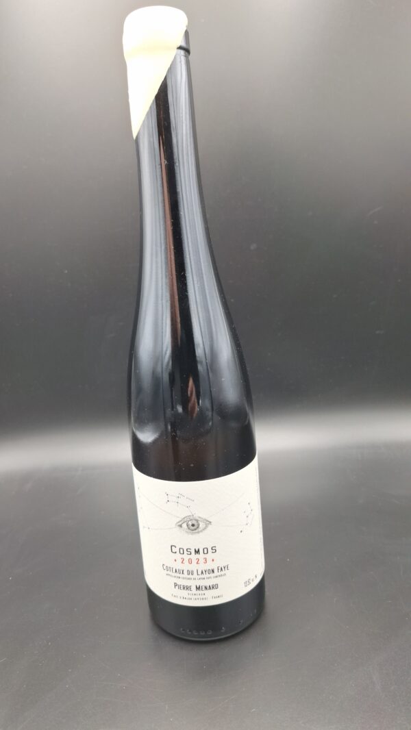 Pierre Ménard – Cosmos Côteaux du Layon 50 cl